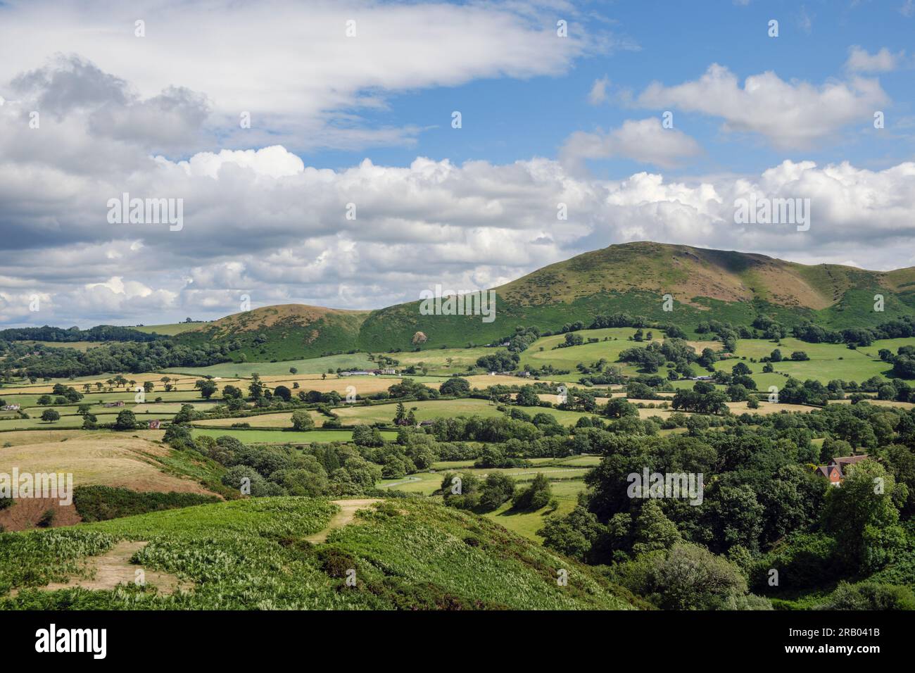Caer Caradoc e Little Caradoc da Plush Hill sul Long Mynd, vicino a Church Stretton, Shropshire, Inghilterra Foto Stock