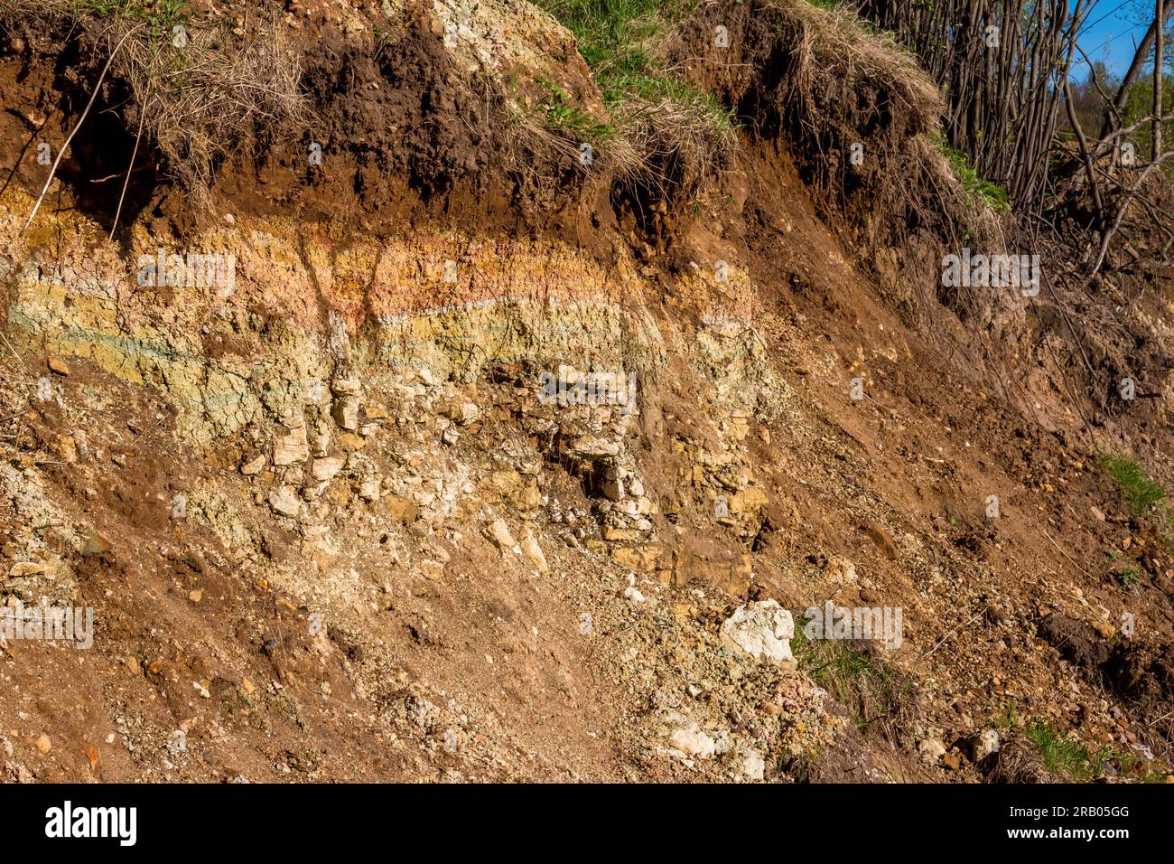 Affioramento di rocce geologiche. Il fondale è argilloso e calcareo sormontato da depositi quaternari. Regione di Kaluzhskiy, Russia Foto Stock