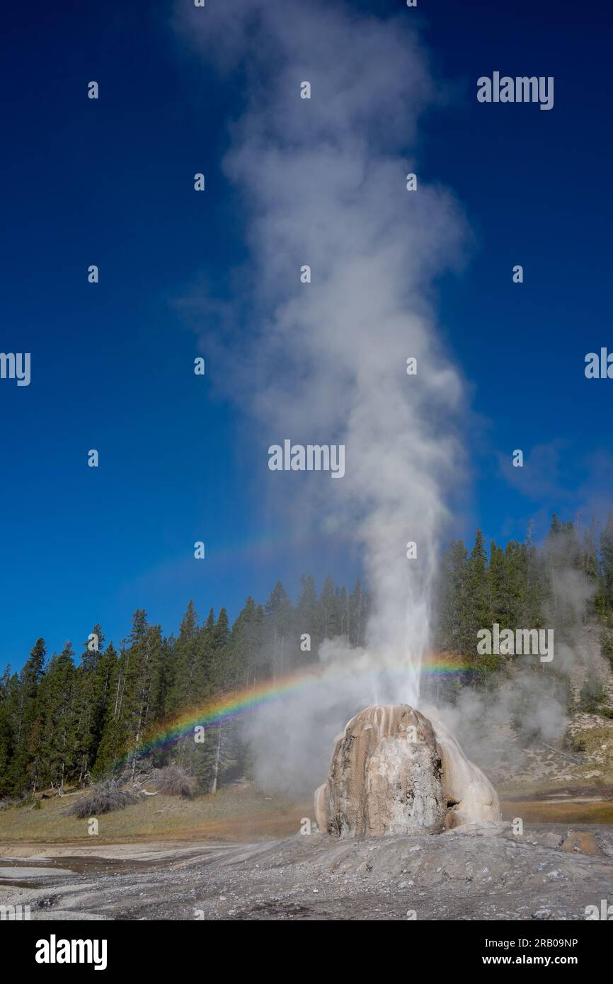 Geyser Lone Star che erutta in una giornata di sole con l'arcobaleno | Yellowstone National Park, Wyoming, USA Foto Stock