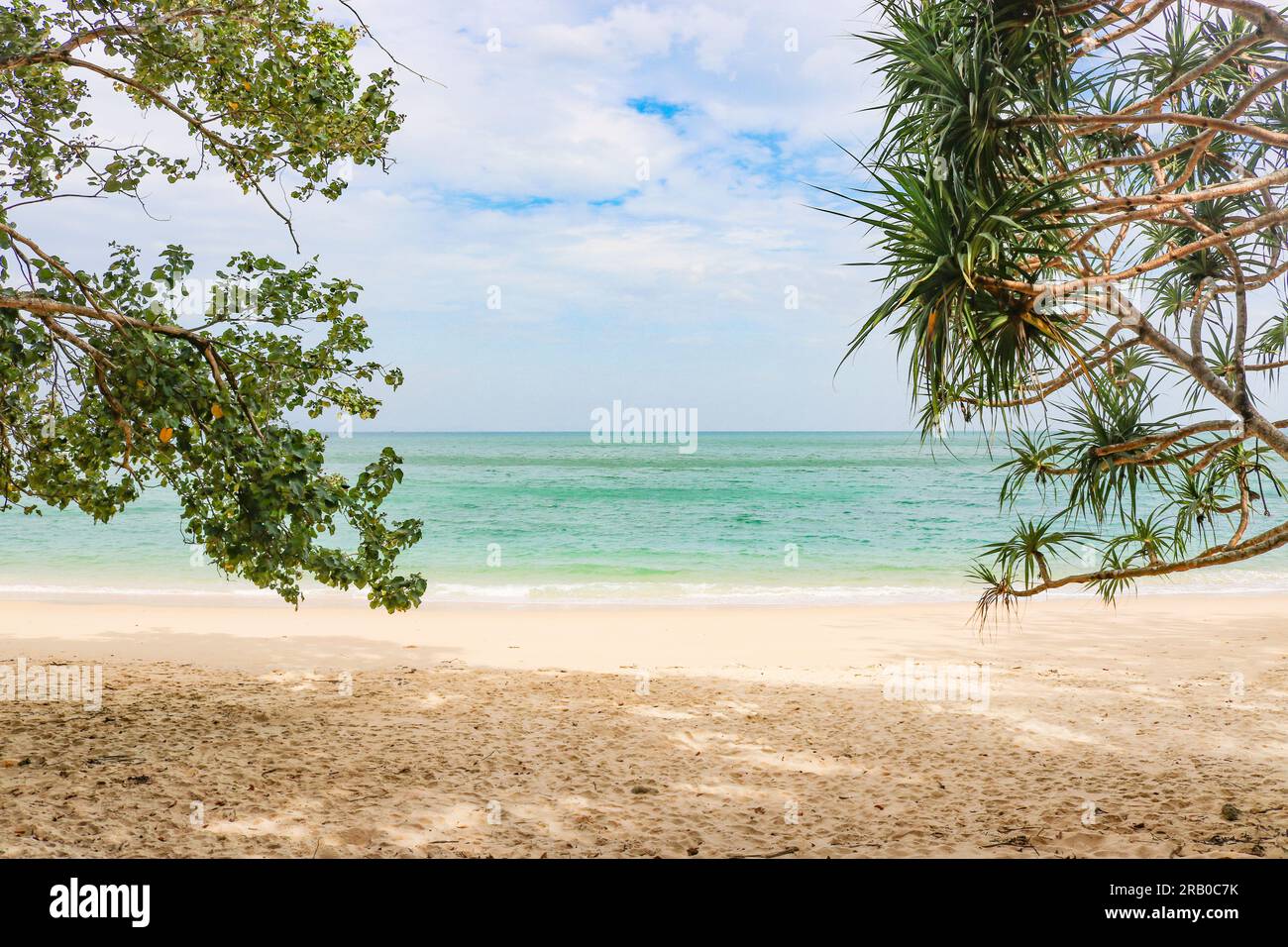 Bellissima spiaggia di sabbia in un'isola disabitata. Sfondo paesaggistico perfetto per una vacanza rilassante Foto Stock