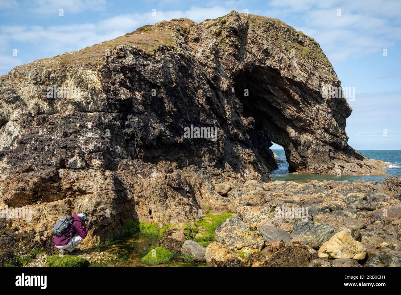 Un escursionista che fotografa una piscina rocciosa sotto l'isola di marea di Ynys y Fydlyn, NW Anglesey, Galles, Regno Unito Foto Stock