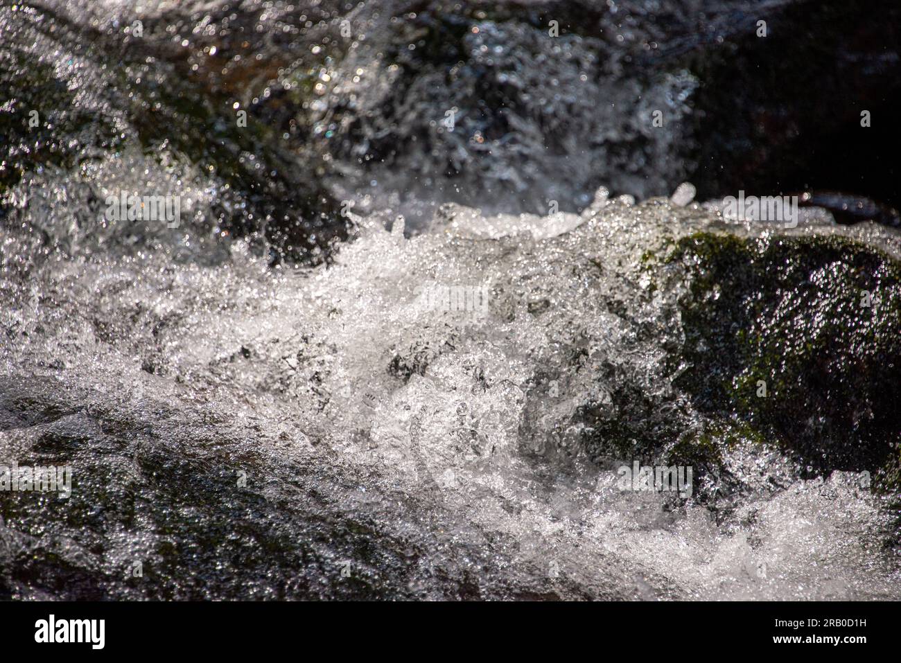 Un ruscello d'acqua che scende dal Monte Arber in una giornata di sole in primavera Foto Stock