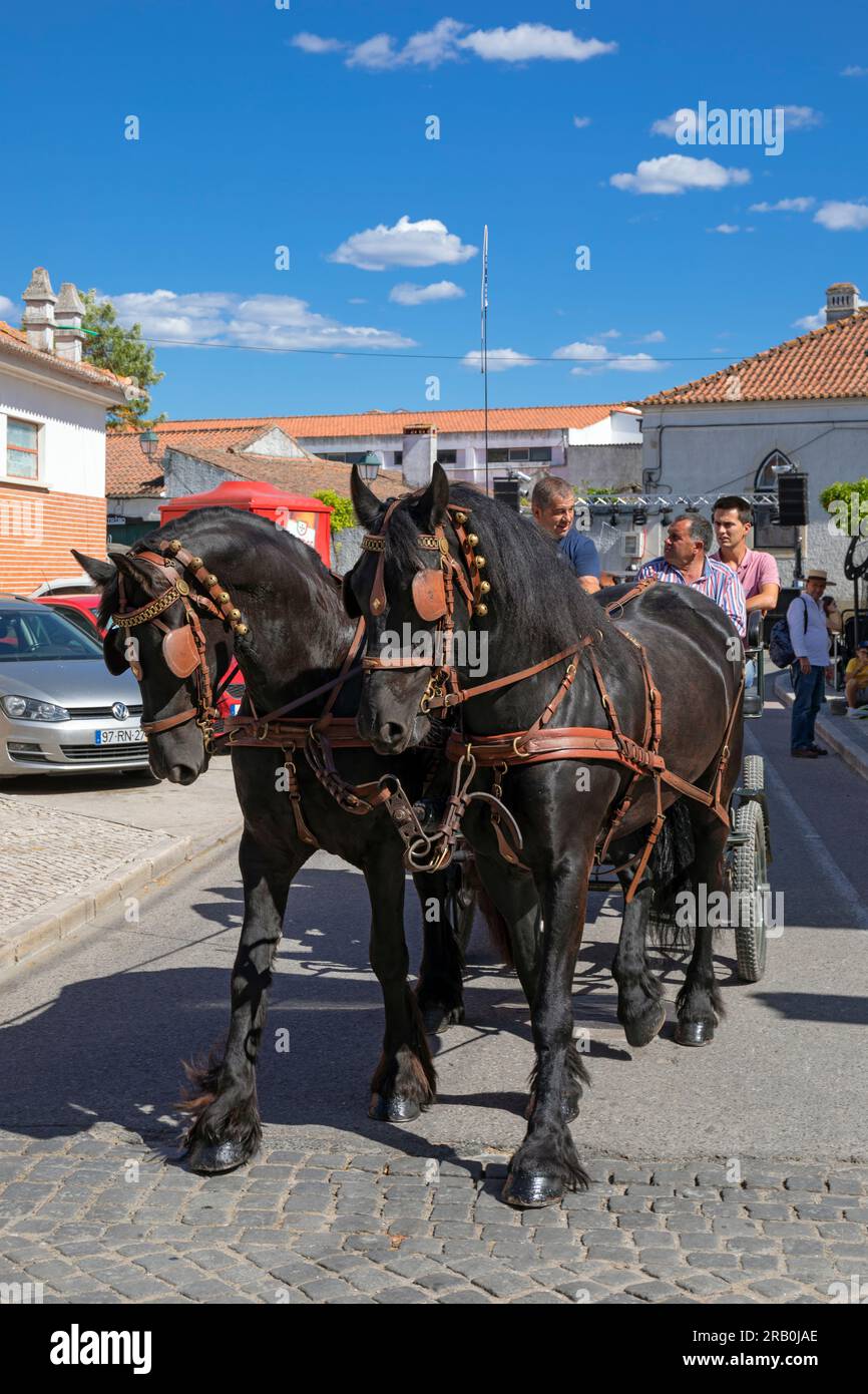 Europa, Portogallo, regione dell'Alentejo, Golega, Buggy trainata da cavalli che porta i turisti lungo Rua largo 25 de Abril Foto Stock