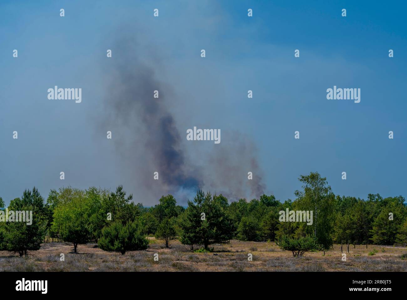 Tra Jüterbog e Felgentreu, 4 giugno 2023, Germania, un grande incendio boschivo per giorni nell'ex sito militare, che ora è una riserva naturale, 150 ettari sono già stati bruciati negli ultimi giorni Foto Stock