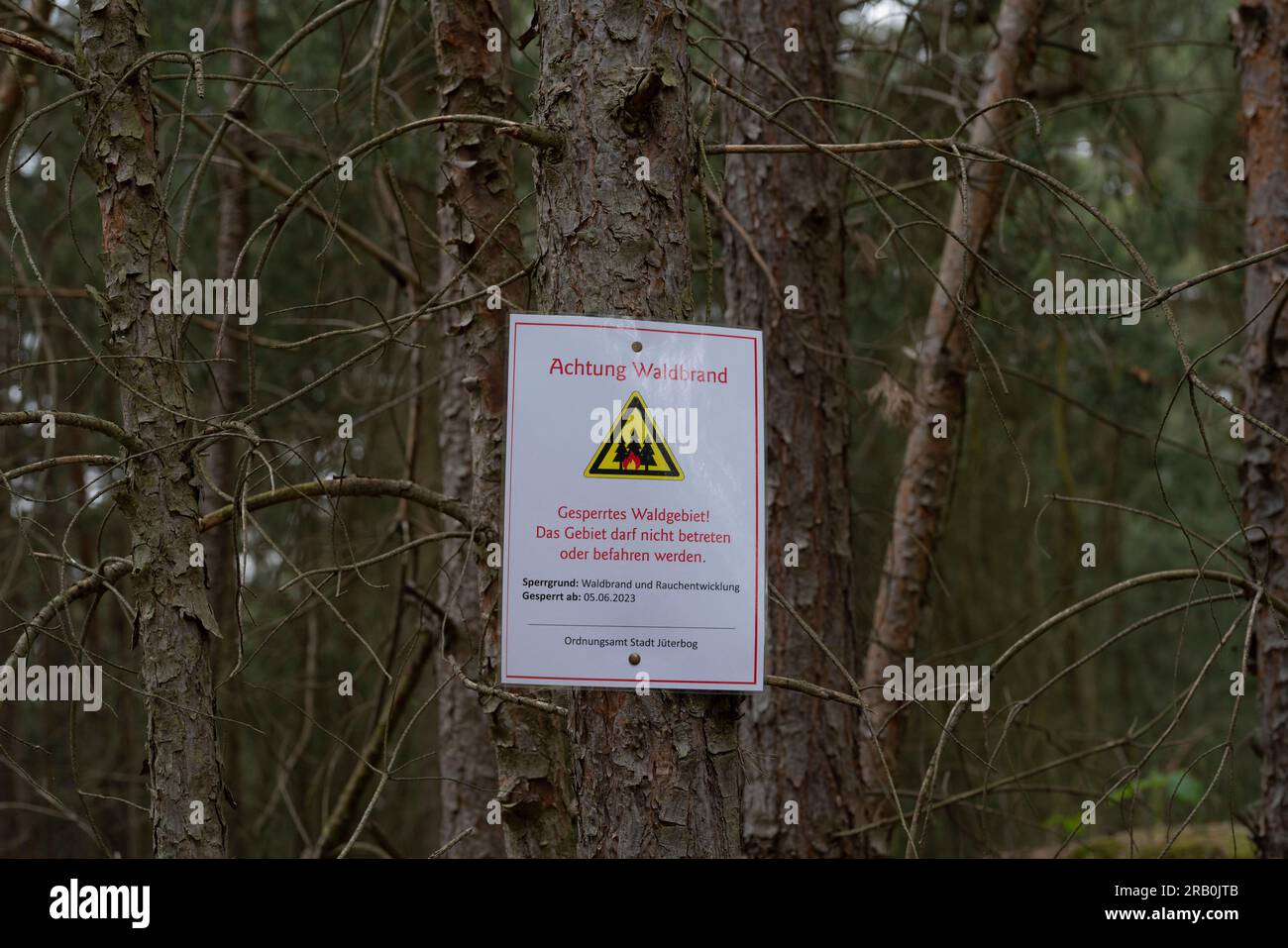 Tra Jüterbog e Felgentreu, 6 giugno 2023, Germania, i cartelli con iscrizioni tedesche indicano che tutti i sentieri escursionistici sono chiusi a causa dell'alto pericolo per la vita dell'incendio forestale Foto Stock
