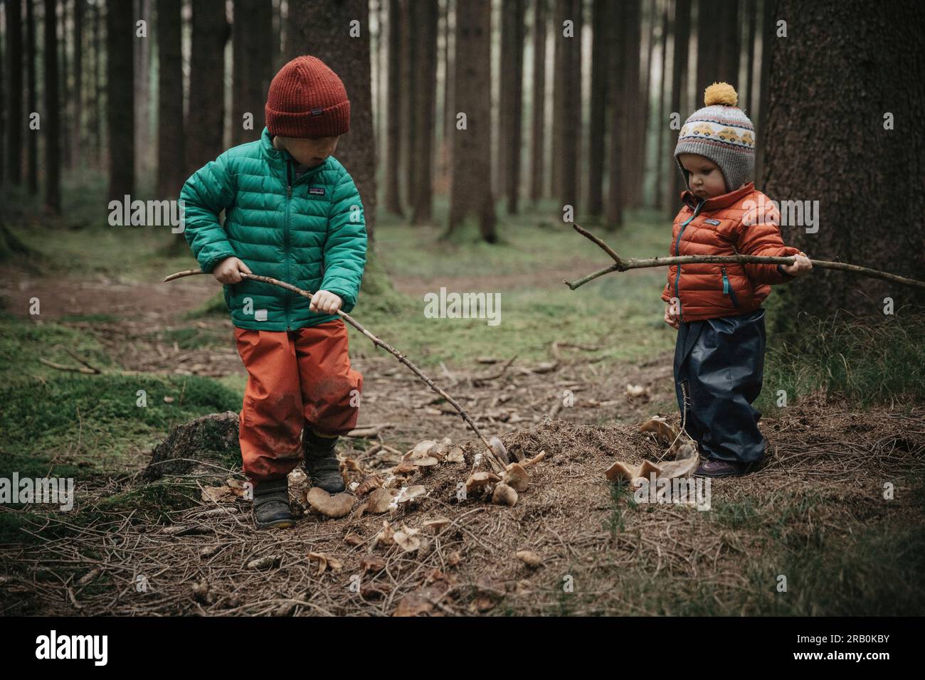 Fratello e sorella nella foresta Foto Stock