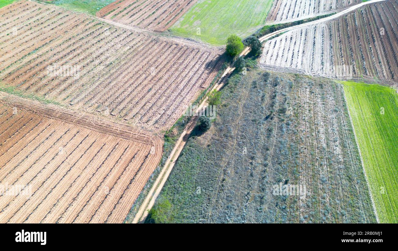 Veduta aerea dei vigneti all'inizio della primavera nella provincia di Valladolid nella zona di origine Ribera del Duero in Spagna Foto Stock