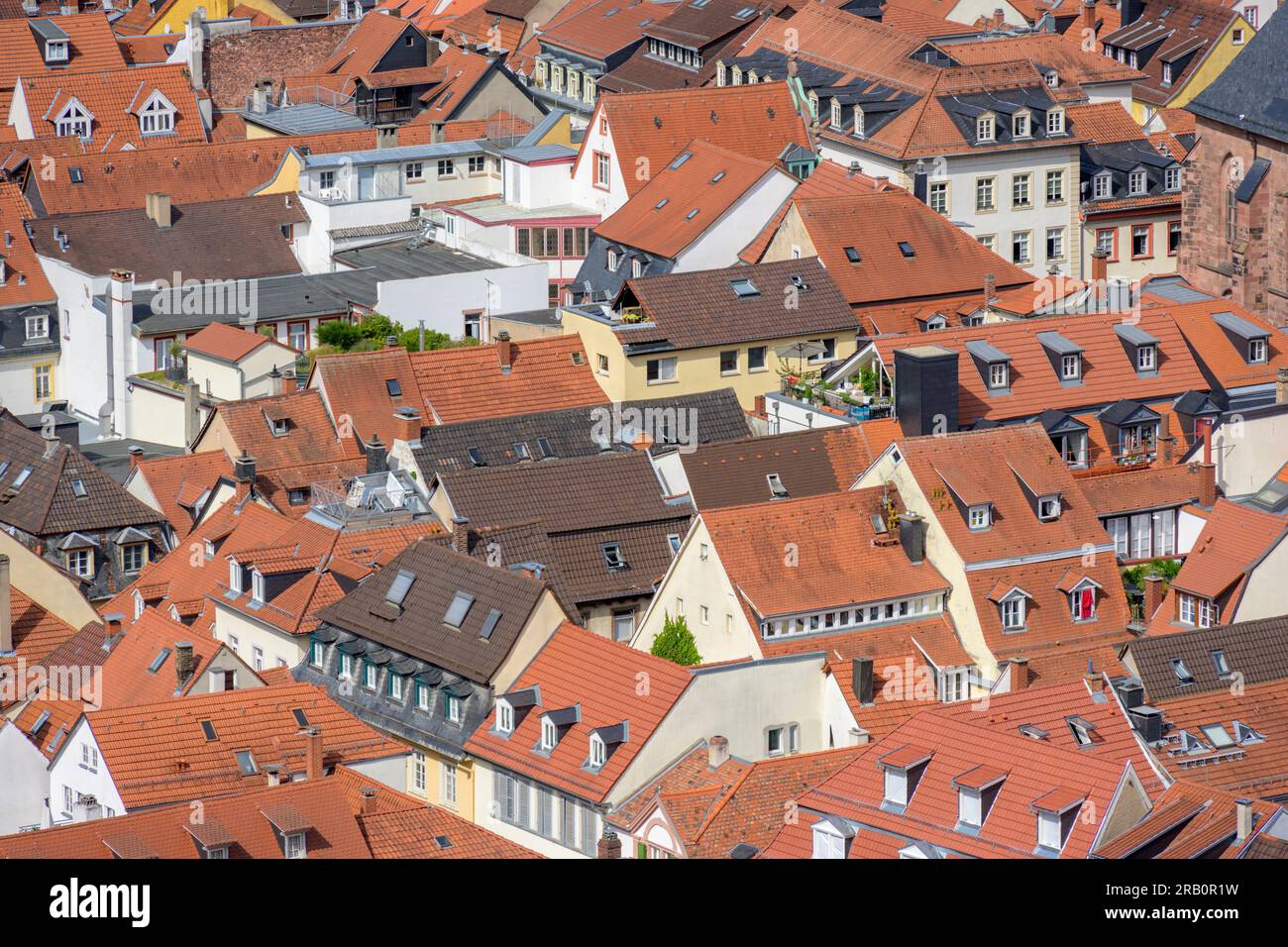Germania, Baden-Wuerttemberg, Heidelberg, vista dal castello alla città vecchia. Foto Stock