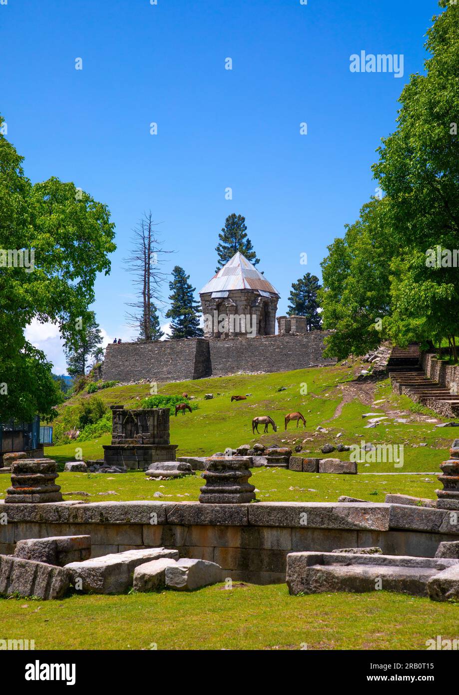 Rovine del Tempio Naranag sull'antico sito di pellegrinaggio indù, Jammu e Kashmir, Kangan, India Foto Stock