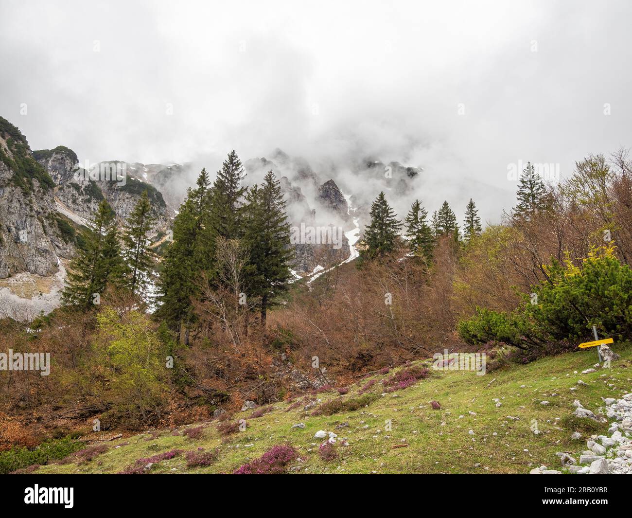 Vista sulle montagne Kaiser, una catena montuosa delle Alpi calcaree settentrionali nelle Alpi orientali. Si trova in Austria, in provincia di Tirolo, tra Kufstein e St Johann in Tirolo. Foto Stock