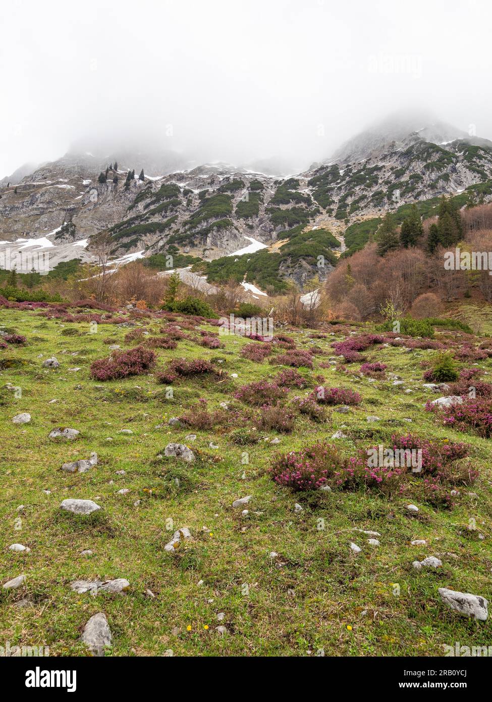 Vista sulle montagne Kaiser, una catena montuosa delle Alpi calcaree settentrionali nelle Alpi orientali. Si trova in Austria, in provincia di Tirolo, tra Kufstein e St Johann in Tirolo. Foto Stock