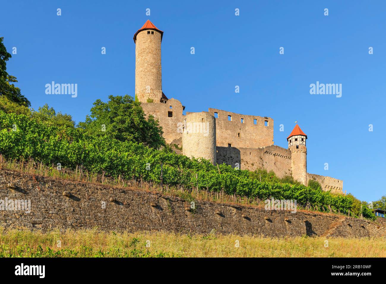 Castello di Hornberg, Neckarzimmern, Castle Road, Baden-Württemberg, Germania Foto Stock