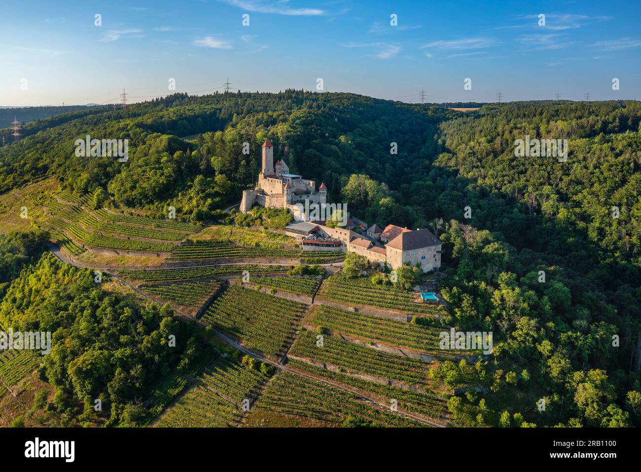 Castello di Hornberg, Neckarzimmern, Castle Road, Baden-Württemberg, Germania Foto Stock