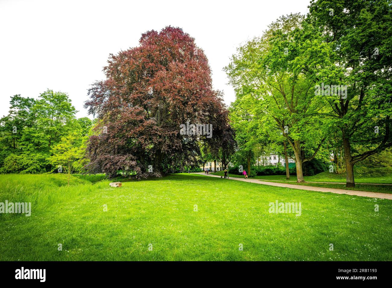 Schlosspark a Wiesbaden-Biebrich, residenza barocca dei duchi di Nassau con un grande parco in cui si svolgono i famosi tornei di salto ostacoli a Whitsun Foto Stock