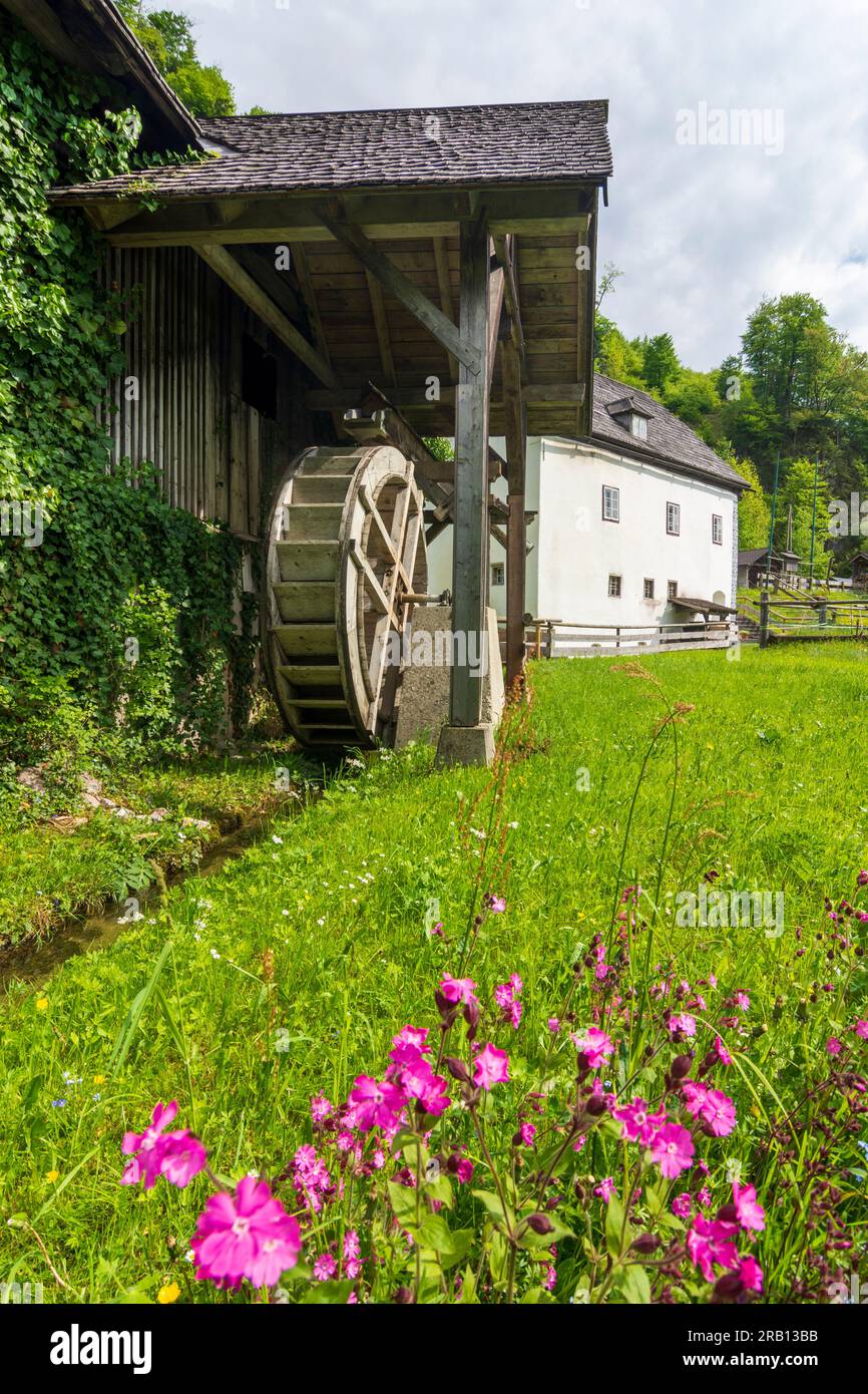 Bad Goisern am Hallstättersee, mulino ad acqua Anzenaumühle a Salzkammergut, alta Austria, Austria Foto Stock