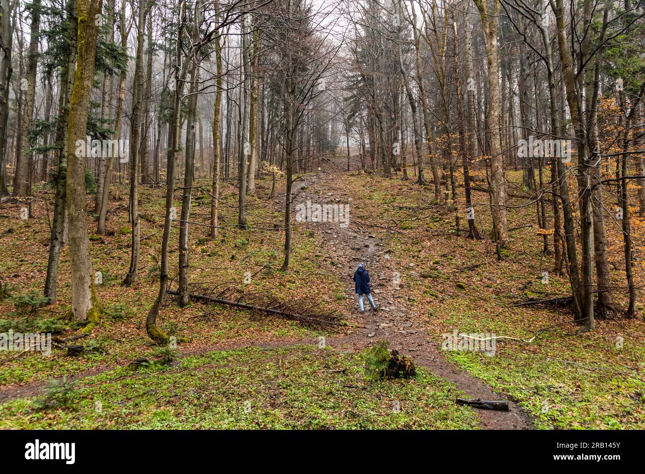 Europa, Polonia, piccola Polonia, sentiero di montagna per Lackowa a Low Beskids Foto Stock