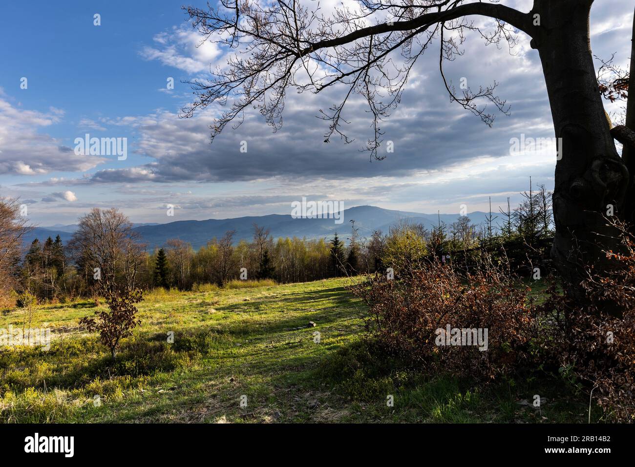 Europa, Polonia, voivodato della Slesia, Little Beskids, vista dal sentiero di montagna a Czupel Foto Stock
