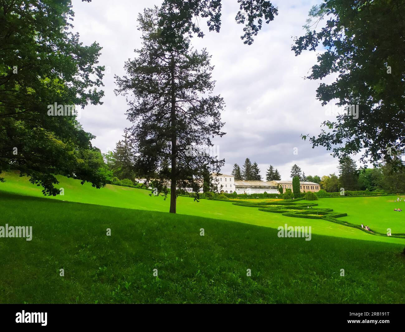 Erba verde, alberi e cespugli rifiniti nel parco nazionale dendrologico Sofiyivka, Uman, Ucraina, nelle soleggiate giornate estive. Foto Stock