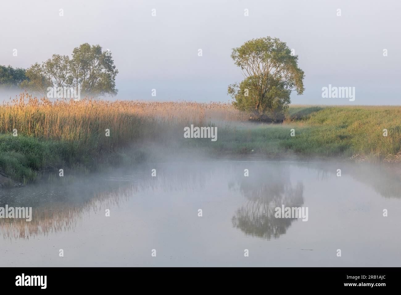 Nebbia e riflessi in una piccola baia al naso Radegast all'alba Foto Stock