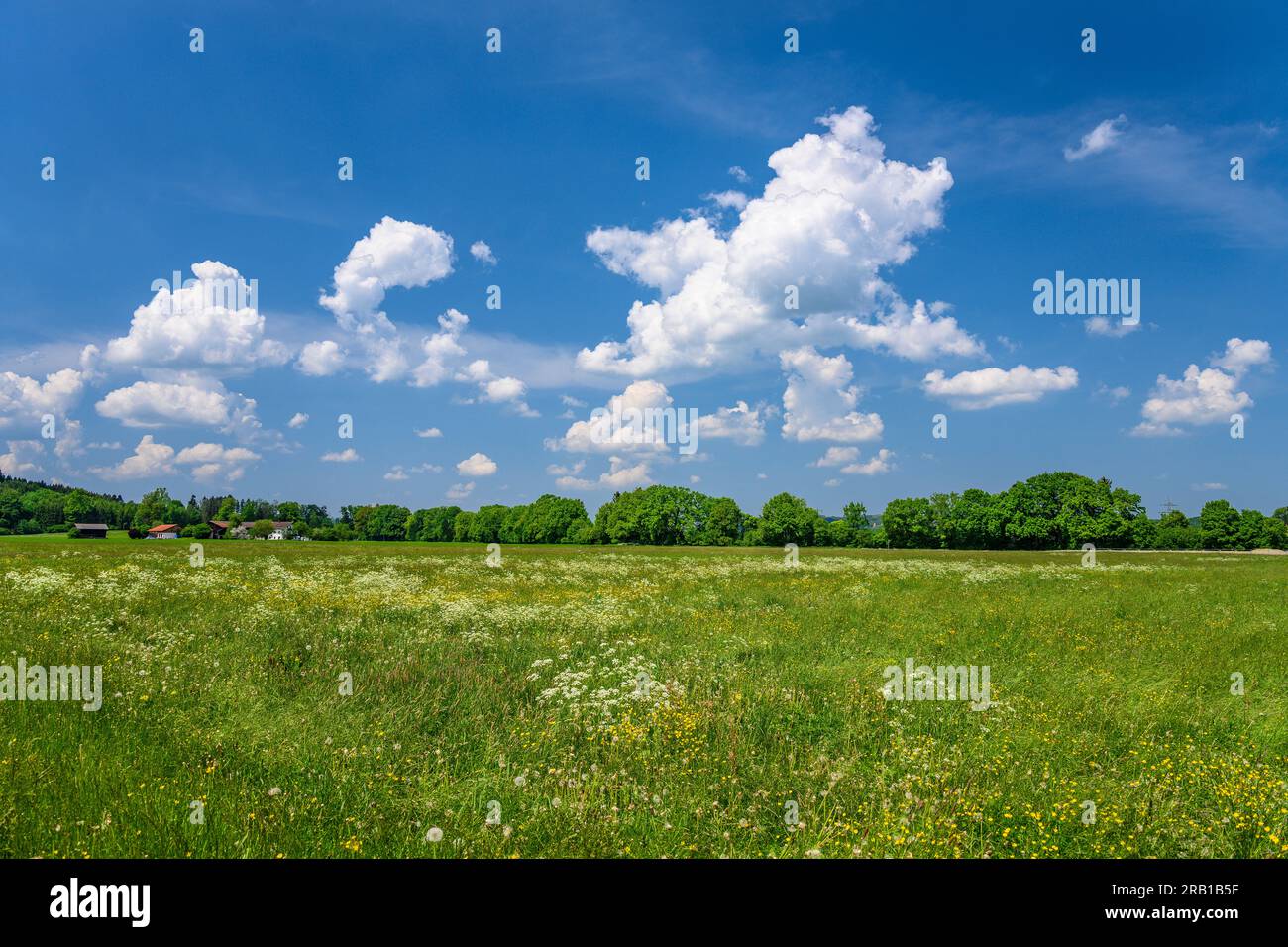 Germania, Baviera, Contea di Rosenheim, Feldkirchen-Westerham, Distretto Vagen, Mangfalltal vicino a Leitzachwerk Foto Stock