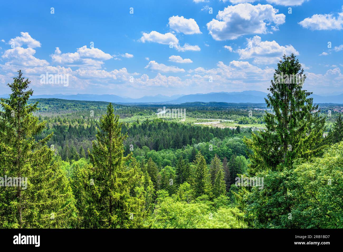 Germania, Baviera, Terra di Tölzer, Icking, valle dell'Isar con Pupplinger Au contro catena alpina, vista dalla bacchetta di Weiße Foto Stock