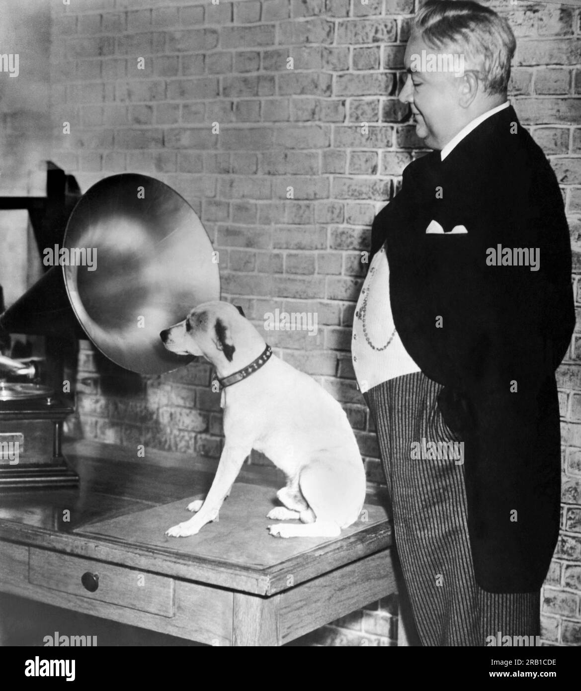Stati Uniti: c. 1927. Un cane ascolta, forse la voce del suo padrone, da un gramafone. Foto Stock