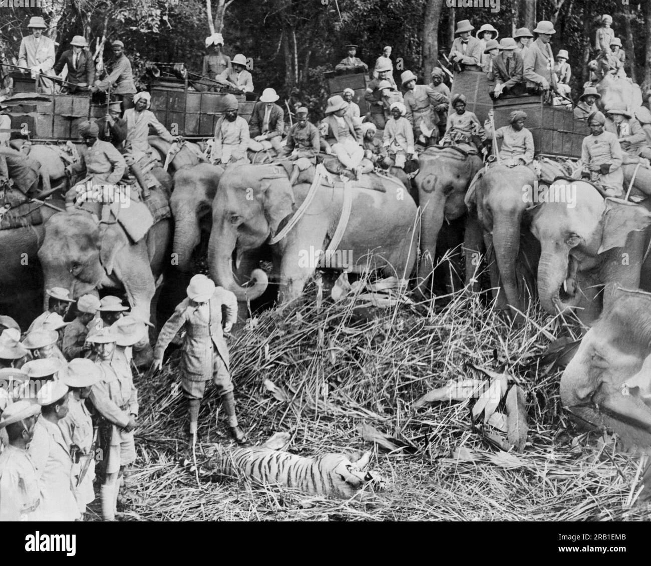 Nepal: 29 gennaio 1922 il gruppo di caccia del principe di Galles che circonda una tigre che sua altezza reale aveva appena sparato. Il principe è sulla cima dell'elefante all'estrema destra. Foto Stock