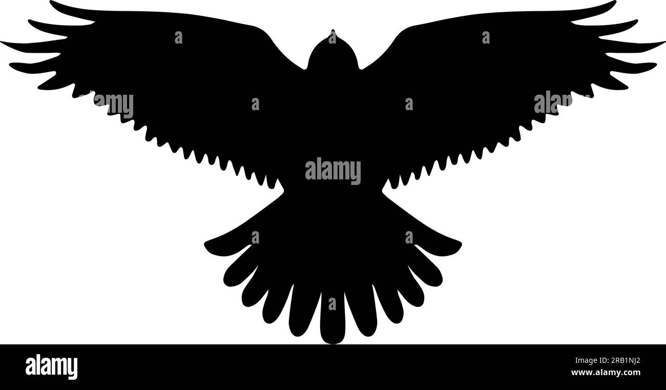 Bird of Prey Flying silhouette isolata. Illustrazione vettoriale Illustrazione Vettoriale