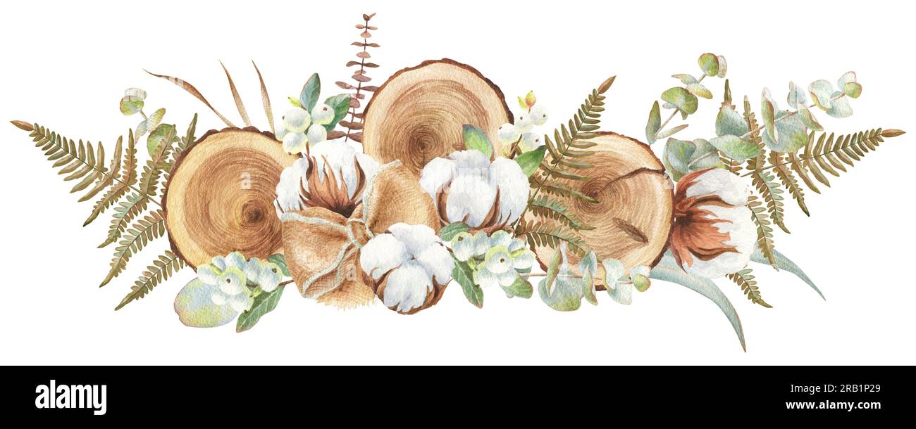 Illustrazione ad acquerello con cotone, fette di legno, eucalipto, frutti di bosco e felce isolate su sfondo bianco Foto Stock