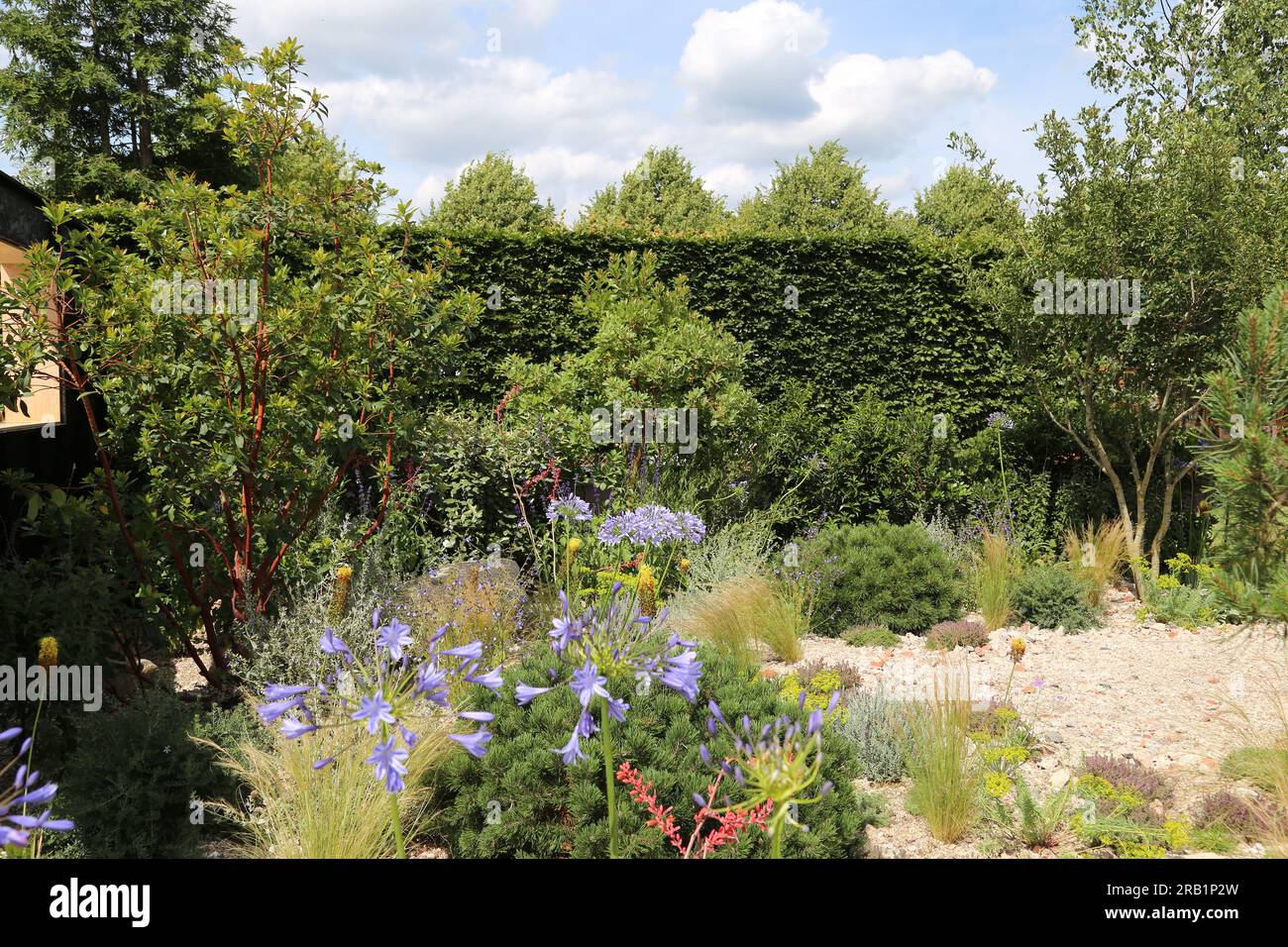 RHS Resilient Garden (Tom Massey), RHS Feature Garden, RHS Hampton Court Palace Garden Festival 2023, Londra, Inghilterra, Regno Unito, Europa Foto Stock