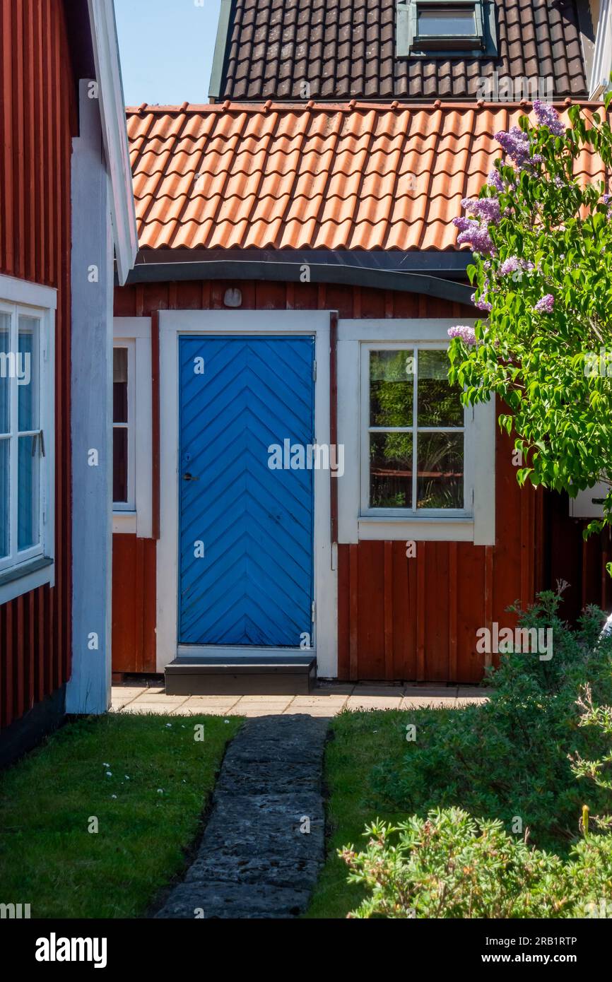 Grazioso cottage svedese di vernice rossa con finiture bianche e una porta blu brillante alla fine di un piccolo giardino estivo nell'arcipelago di Stoccolma entro metà estate Foto Stock