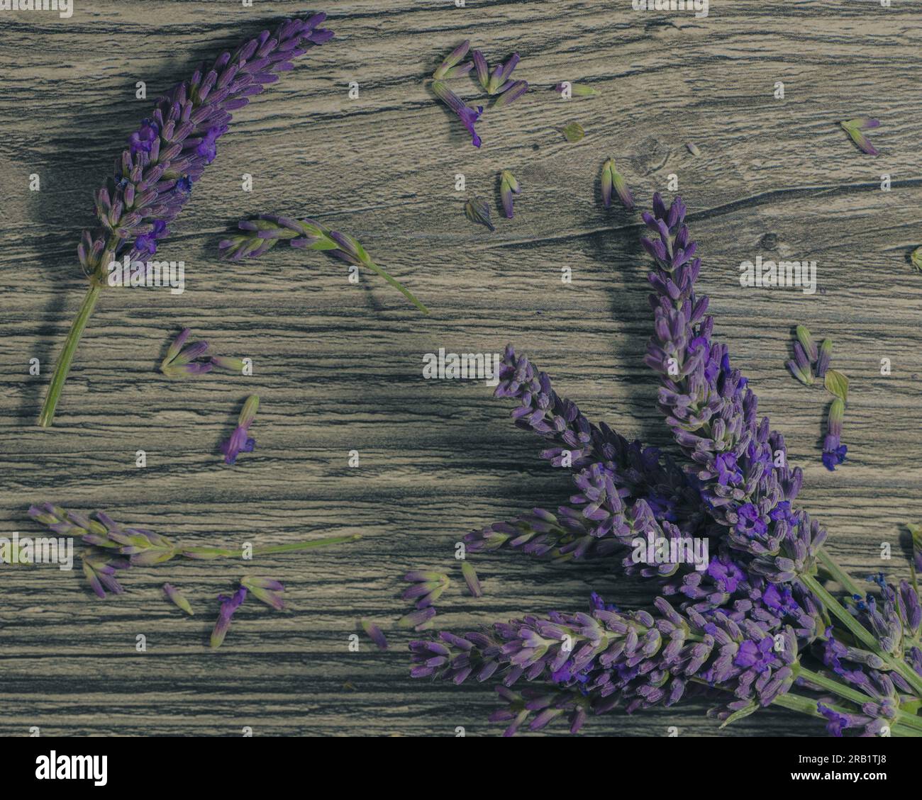 Semi di girasole serviti su un grande cucchiaio di legno, uno spuntino sano ideale Foto Stock