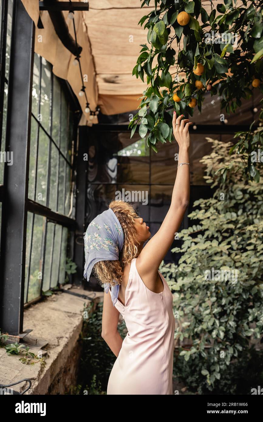 Vista laterale della giovane donna afroamericana in abito estivo e foulard che si allunga la mano ai limoni sull'albero e si trova in giardino interno, donna in S. Foto Stock