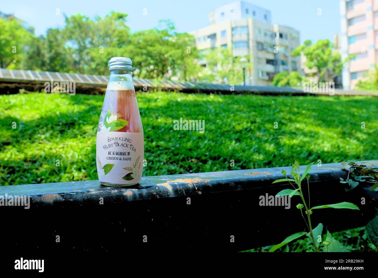 Una bottiglia di tè nero rubino frizzante, etichettata verde e sicura, venduta al Family Mart di Taipei, Taiwan; tè freddo in bottiglia su una parete di contenimento in un parco. Foto Stock