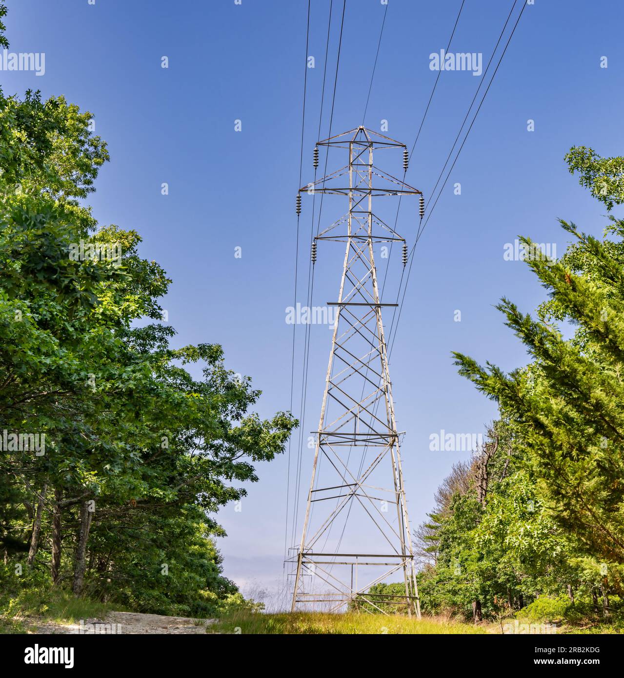 una torre di trasmissione che supporta i cavi sospesi Foto Stock