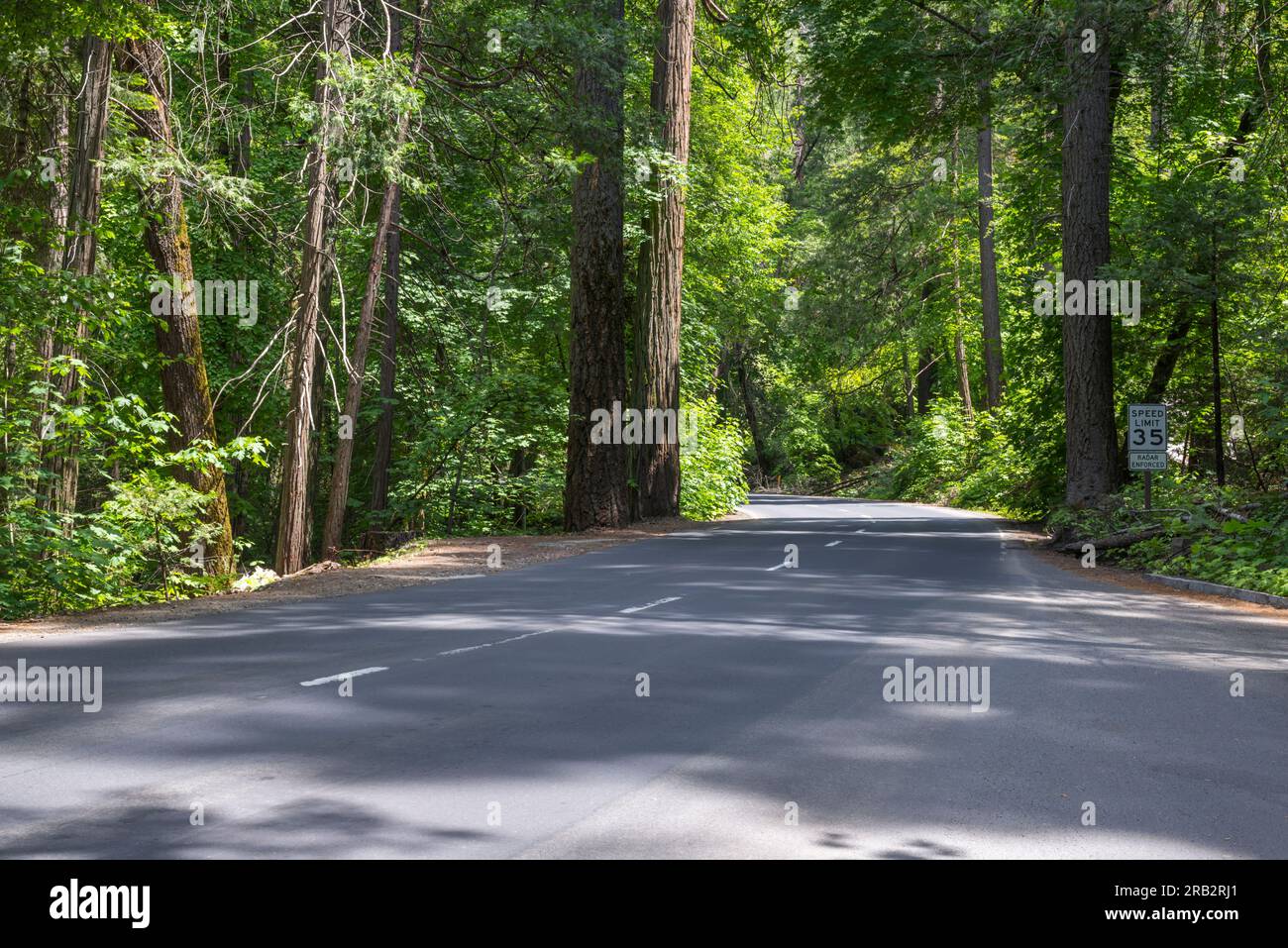 La strada che attraversa la Yosemite Valley. Yosemite National Park, California, USA. Foto Stock