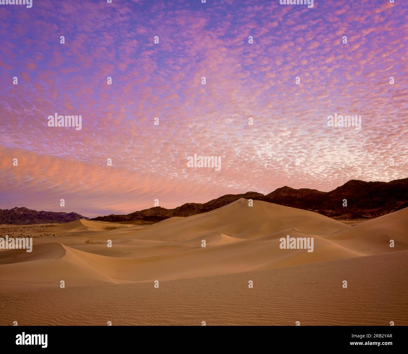 Dawn, Ibex le dune, il Parco Nazionale della Valle della Morte, California Foto Stock