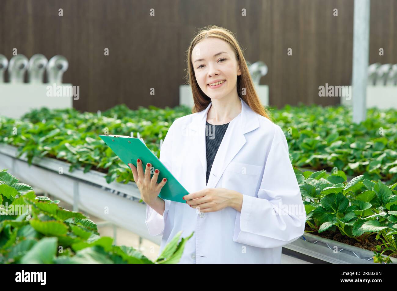 Il lavoro degli scienziati raccoglie i dati di registrazione che tracciano i dati di crescita delle piante per l'agricoltura ricerca agricola formazione scientifica Foto Stock