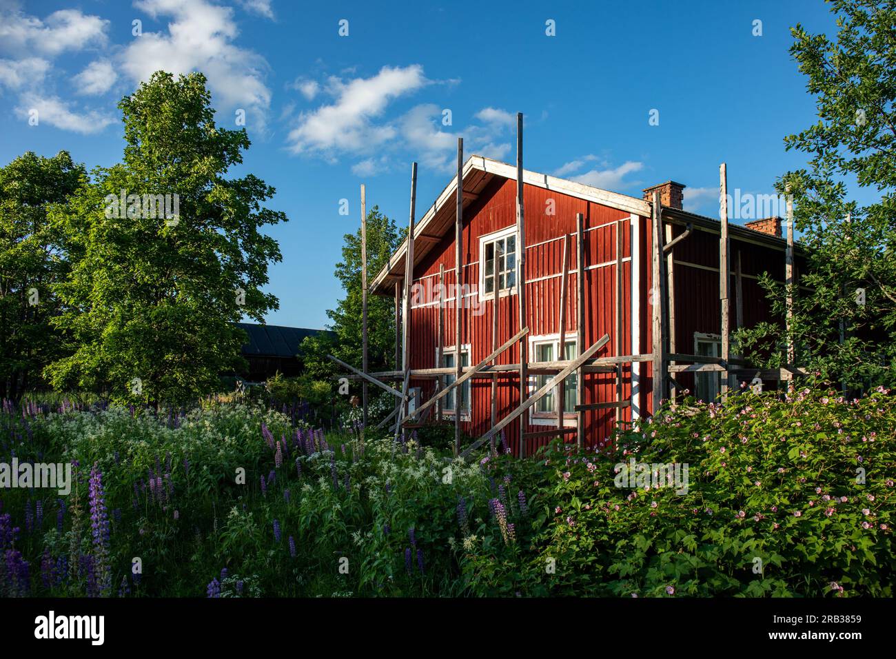 Impalcature in legno intorno alla vecchia fattoria in ocra rossa a Kihniö, Finlandia Foto Stock