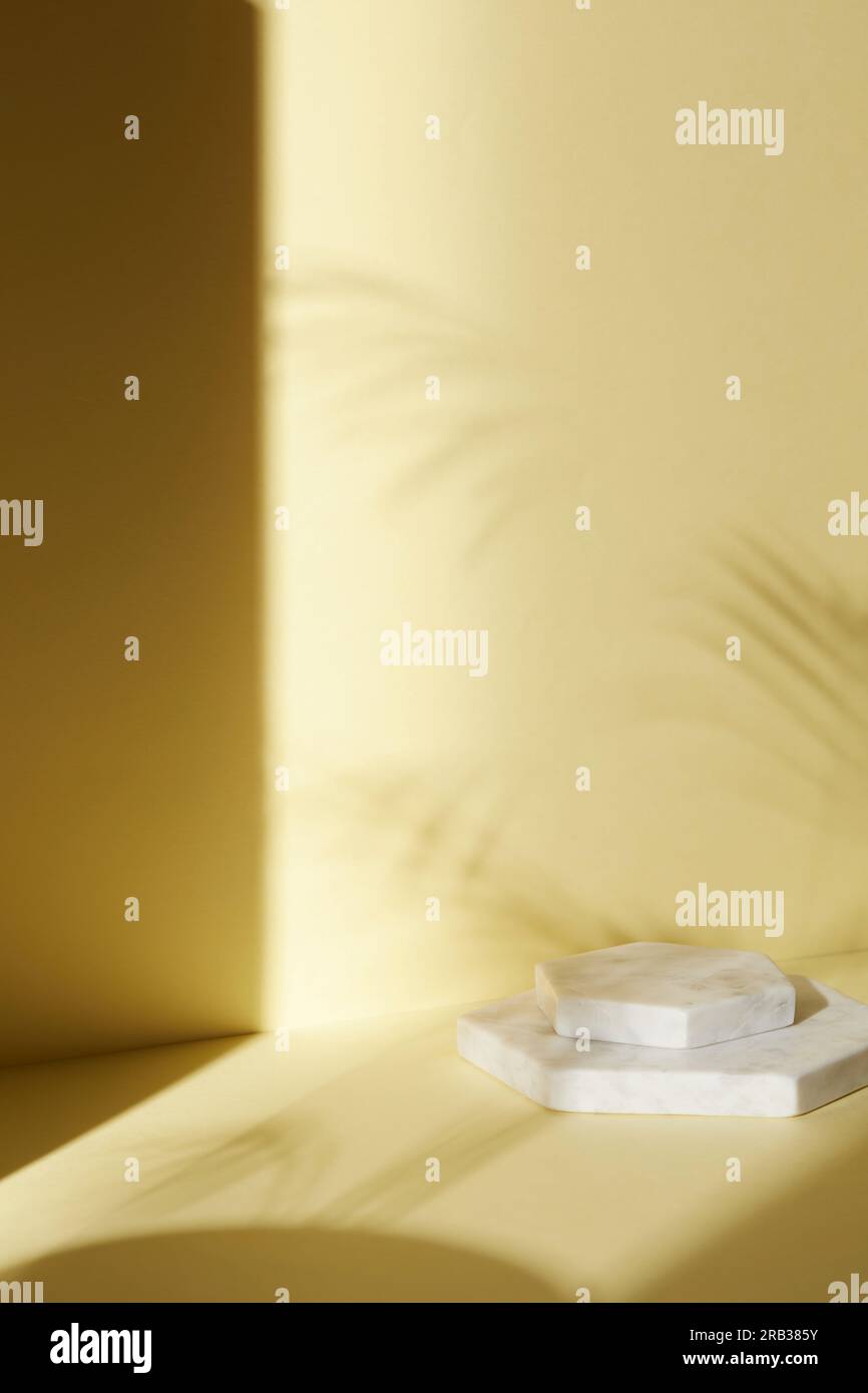 Una stanza con vari oggetti come la luce del sole calda, ombre di foglie d'erba, un vaso su un tavolo e tazze Foto Stock