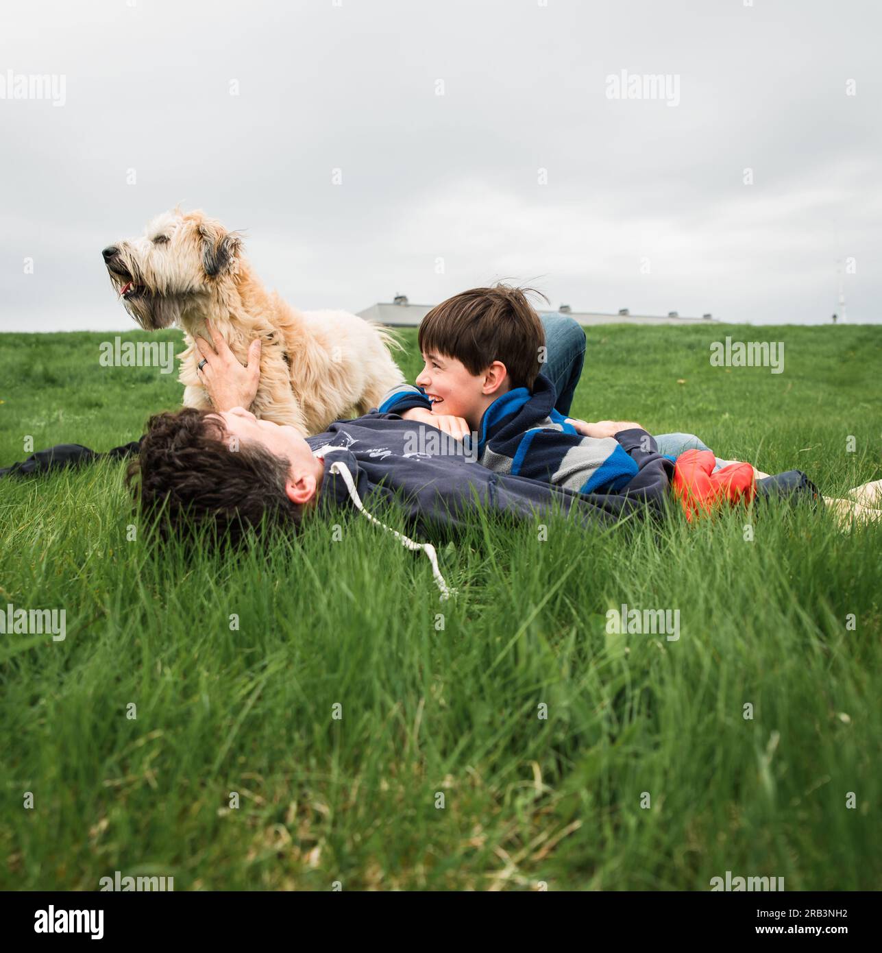 Padre e figlio sdraiati nell'erba alta con il loro cane in un giorno di primavera Foto Stock