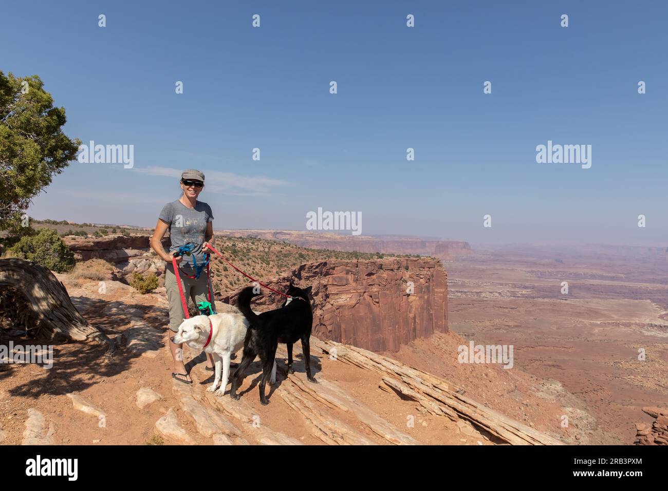 Donna e i suoi cani su una scogliera al Canyonlands National Park Foto Stock