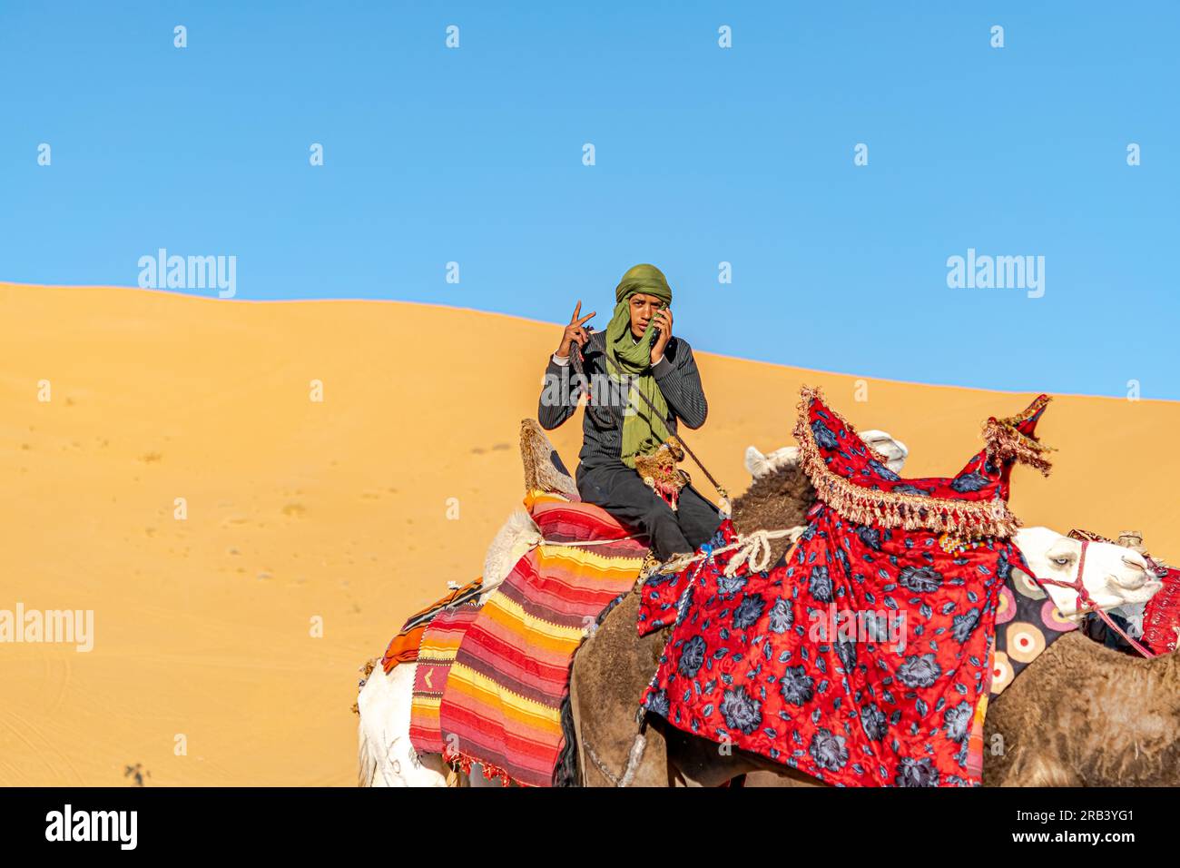 Saoura, Algeria - 28 dicembre 2022: Giovane tuareg in sella a un cammello dromedario bianco decorato con sella di stoffa colorata, in posa con due dita. Foto Stock