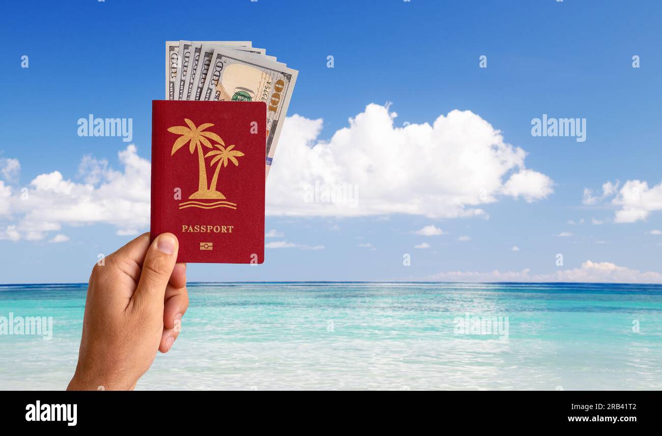 I turisti in possesso di passaporto internazionale e banconote da dollaro in mano sullo sfondo del paesaggio tropicale. Immagine di palma su passaporto, concetto di viaggio Foto Stock
