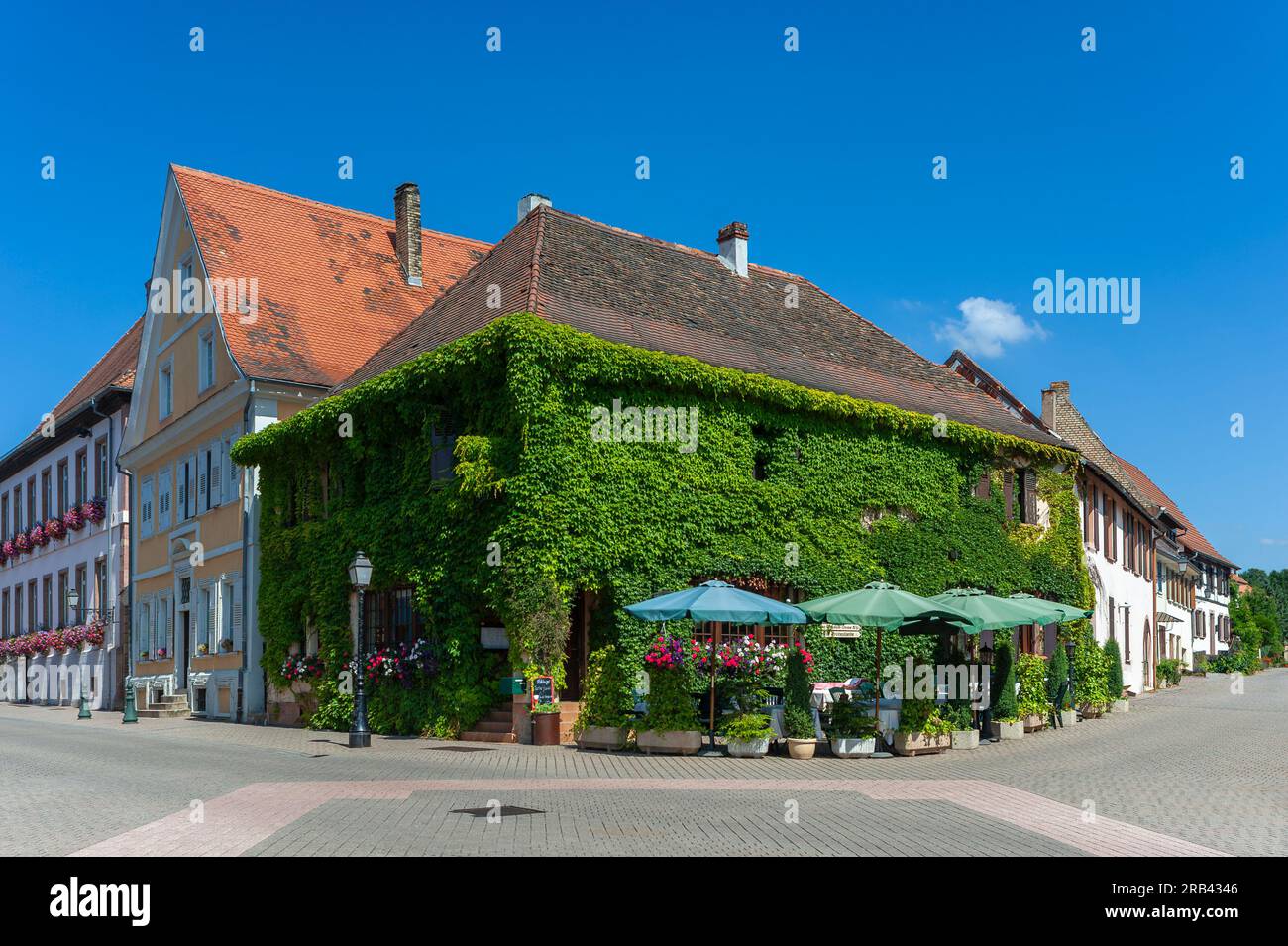 Au Boef inn, la cui facciata è completamente ricoperta di edera, Lauterbourg, Alsazia, Francia, Europa Foto Stock