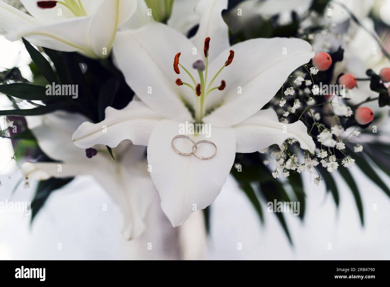Hochzeitsringe auf einer Weißen Blume Foto Stock