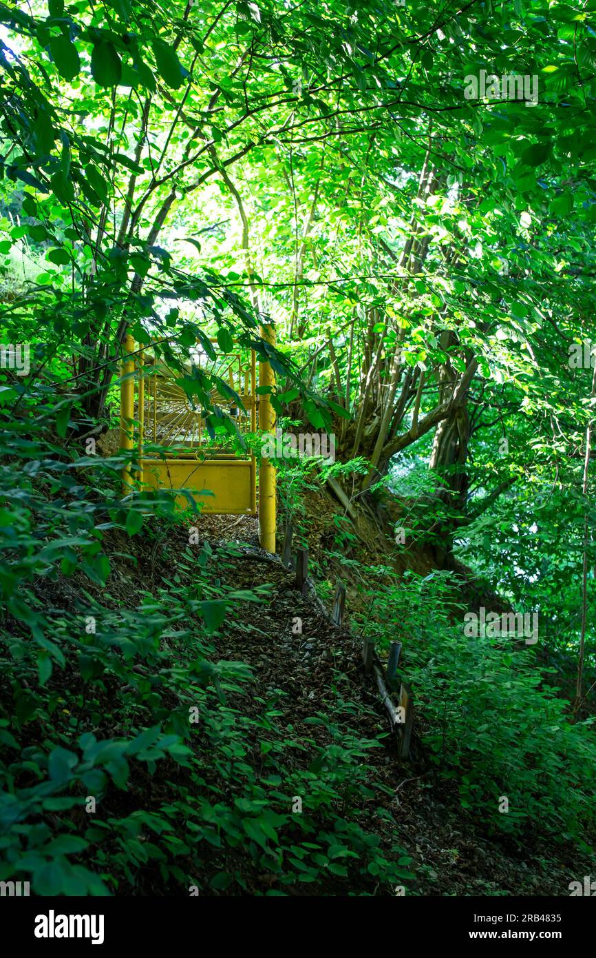Cancello di metallo dipinto di giallo che chiude un sentiero in una foresta o prato lussureggiante Foto Stock