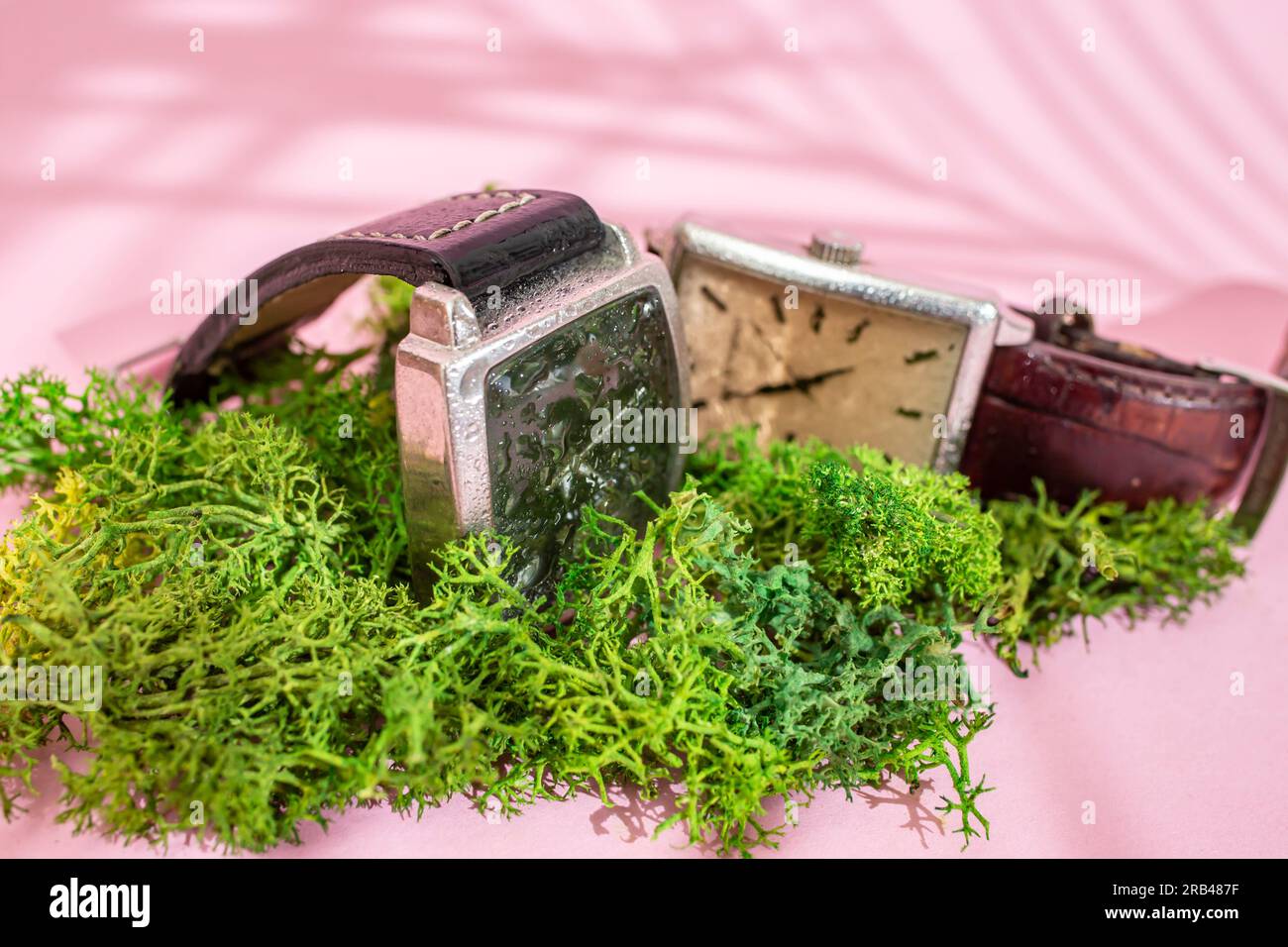 Due orologi da polso generici su lichene verde cosparsi di acqua, concetto di resistenza, messa a fuoco morbida in primo piano Foto Stock