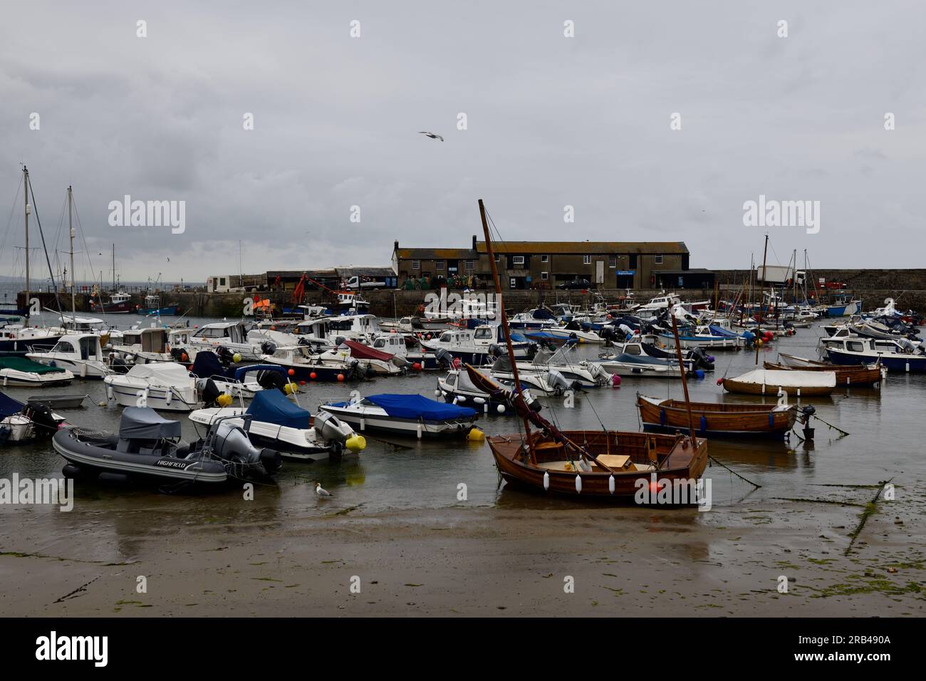 Harbour Lyme Regis Dorset Inghilterra regno unito Foto Stock