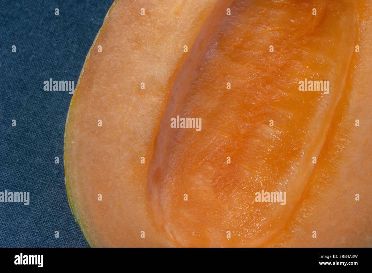 Una foto ravvicinata di un fresco e seducente melone cantaloupe, accentuato da uno sfondo in tessuto blu scuro. La vista dall'alto cattura il suo aspetto rinfrescante Foto Stock